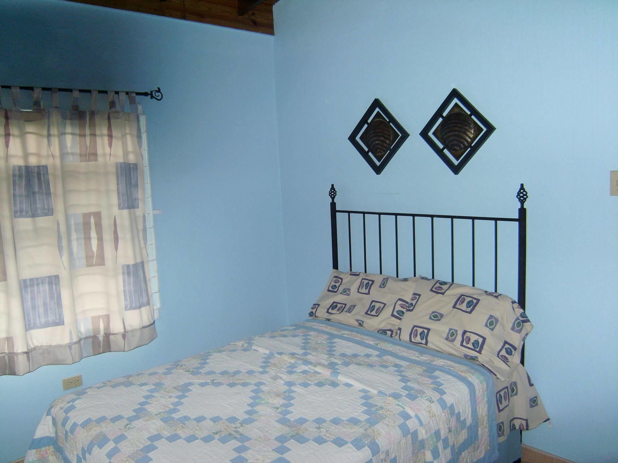 New Kingston Guest Apt At Sonoma Estate Buitenkant foto